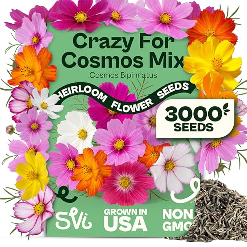 3000 Mix Crazy for Cosmos Seeds