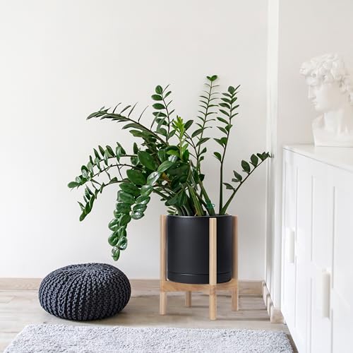 Ceramic Pot with Natural Wood Stand (12 Inch / Black Pot + Natural Stand)
