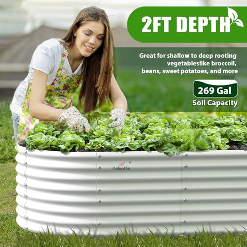 Anleolife 6x3x2ft Oval Deep Root Raised Garden Bed (Oval White / 6×3×2ft Tall)