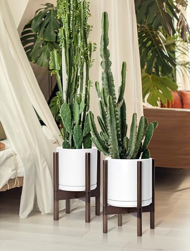 Ceramic Pot with Walnut Wood Stand (8 Inch / White Pot + Walnut Color Stand)