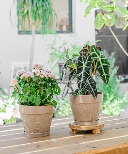 Plastic Plant Pots Indoor with Drainage & Saucer (Undecorated Pottery Color / 8 inch)