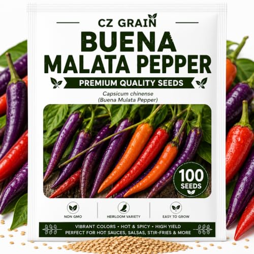 Buena Mulata Pepper Seeds (Bueana Malata)