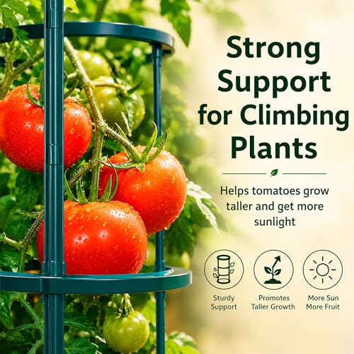 Tomato Cages Heavy Duty Garden Trellis for Raised Beds & Pots
