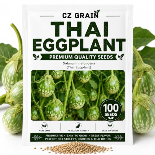Thai Eggplant Seeds for Planting (Thai Eggplant)
