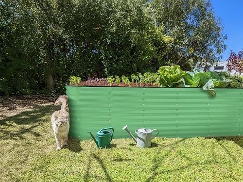 Galvanized Raised Garden Beds Outdoor (Light Green / 8×2×2 Ft)