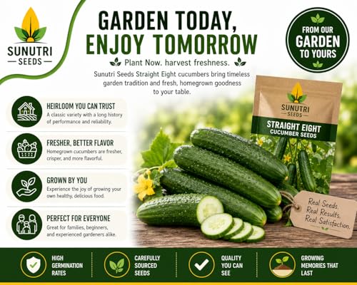 Straight Eight Cucumber Seeds for Planting