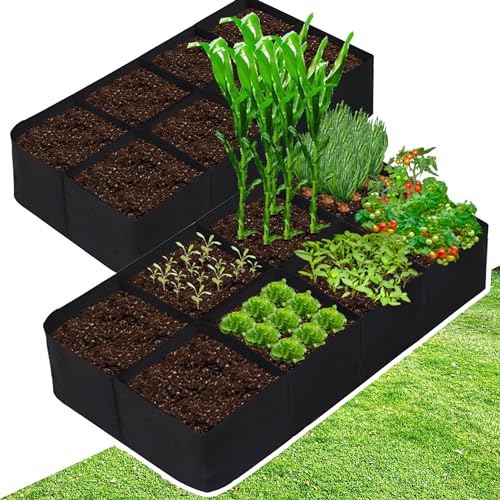 Fabric Raised Garden Bed (Rectangular / 2 Packs 8Grids 3x6 ft)