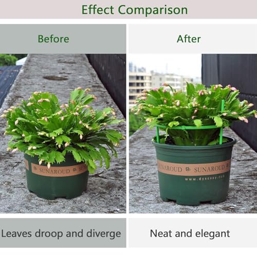 12 Packs Plant Support Stakes