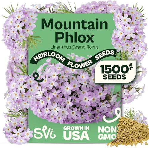 1500 Mountain Phlox Seeds