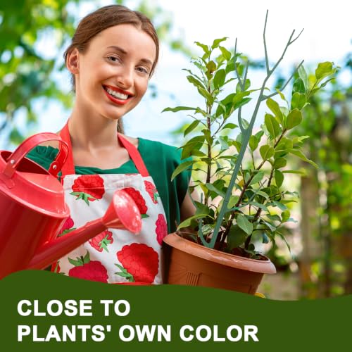 10 Pack Stackable Plant Support Stakes (39.5" - 10 Pack / Green)
