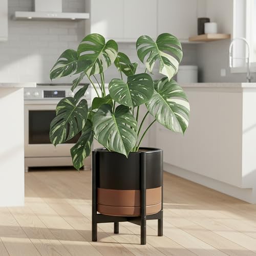 Ceramic Pot with Ebony Wood Stand (12 Inch / Black/Speckled Tan Pot + Ebony Stand)