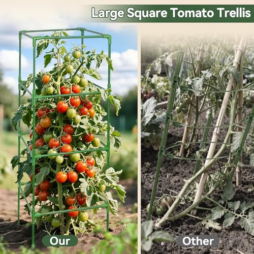 2 Pack 60" Tomato Cages for Garden (60 inch)