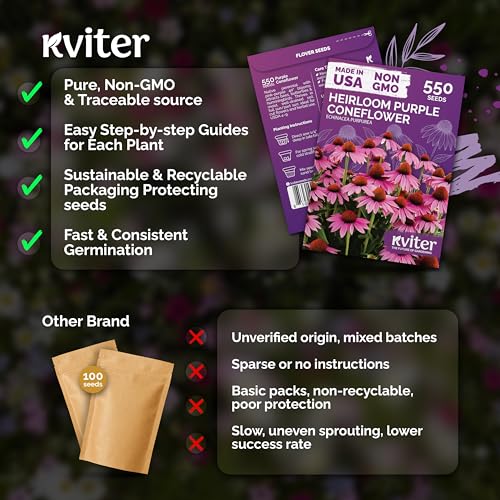 550 Purple Coneflower Heirloom Flower Seeds