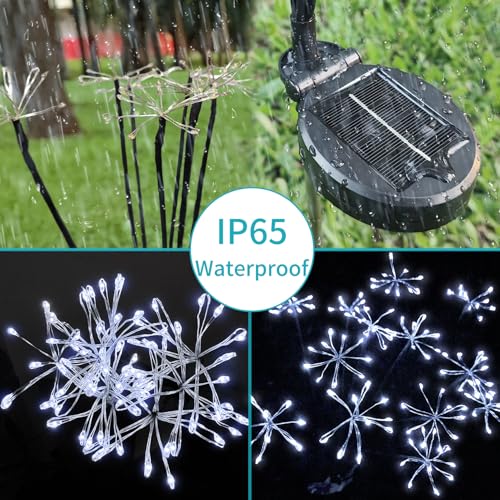 Solar Garden Lights (Cool White / 2 Pack)