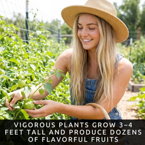 Green Tomatillo Seeds for Planting (Green Tomatillo)