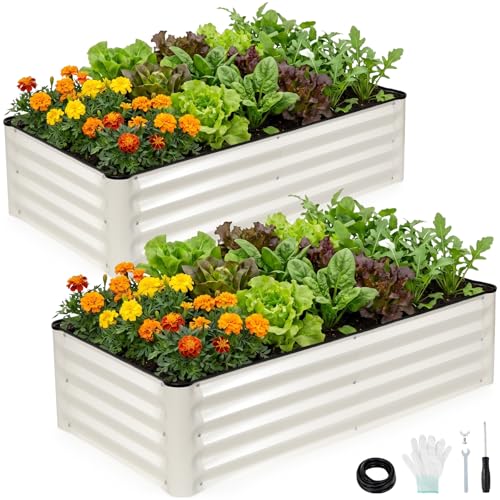 Galvanized Raised Bed (White / 4x2x1FT(2 pack))