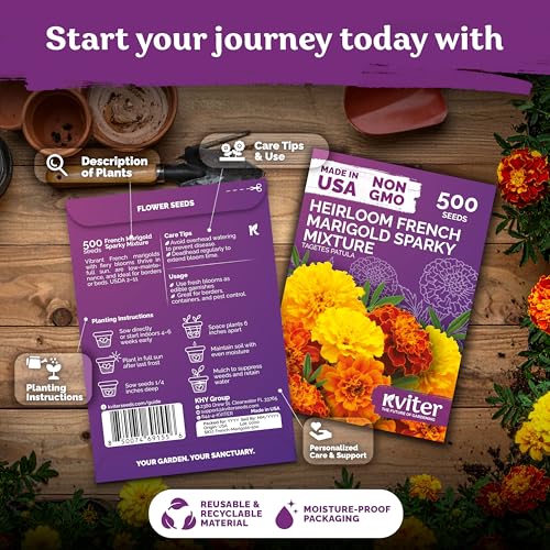 1 000 French Marigold Heirloom Flower Seeds for Planting