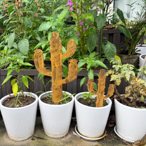 2PCS Rusty Cactus Decorative Garden Stakes (Rusty Cactus)