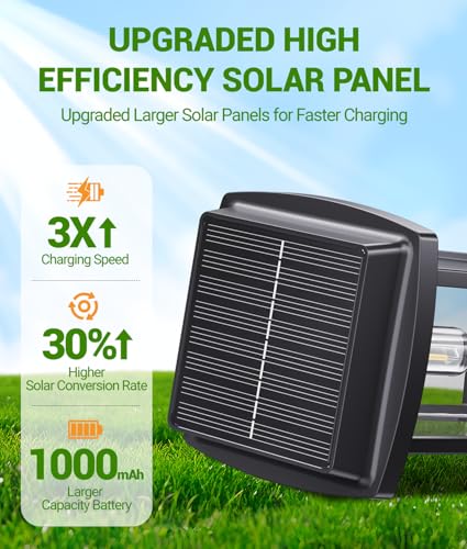 Solar Pathway Lights Outdoor