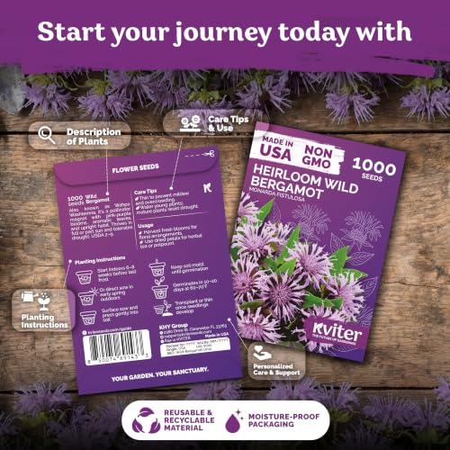 2 000 Wild Bergamot Heirloom Flower Seeds for Planting