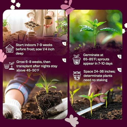 75 San Marzano Tomato Seeds