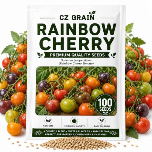 Rainbow Cherry Tomato Seeds for Planting (Rainbow Cherry Tomato)