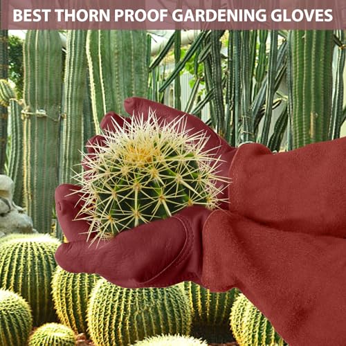 Gardening Gloves for Women Men (Brown / X-Small (Pack of 1))