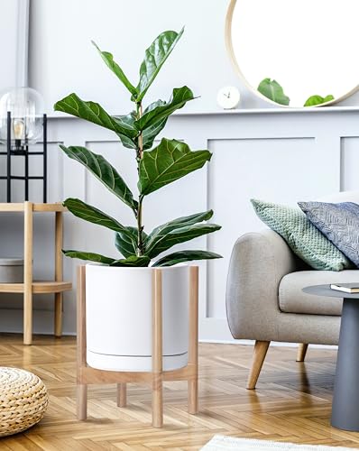 Ceramic Pot with Natural Wood Stand (12 Inch / White Pot + Natural Stand)