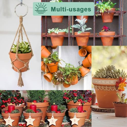 8 Inch Clay Pot for Plant with Saucer (Brown)
