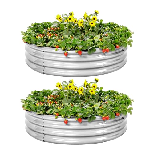 Galvanized Raised Garden Bed 2Pcs (4×4×1ft（2-Pack） / 1-silver)
