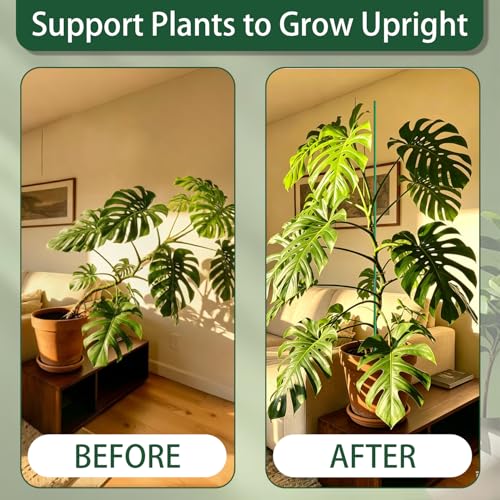 Garden Stakes 16.9Inch 20Pcs HOUNANG Adjustable Length Plant Support Stakes (16.9inch 20pcs)