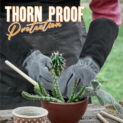 Rose Pruning Gloves for Men Women (Slate Gray / X-Large (Pack of 1))