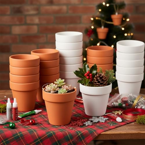 Terracotta Clay Pots with Drainage Holes (4-inch Red)