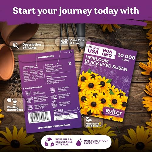 20 000 Black Eyed Susan Heirloom Flower Seeds for Planting