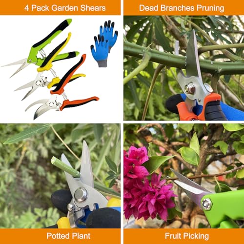 Pruning Shears