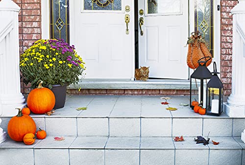 Pumpkin Yard Stakes Sign Outdoor Fall Decor Autumn Garden Stake Art Lawn (B-2pcs)