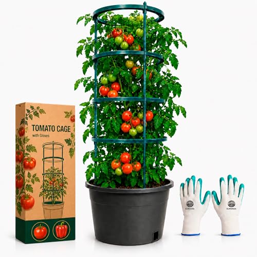 Tomato Cages Heavy Duty Garden Trellis for Raised Beds & Pots