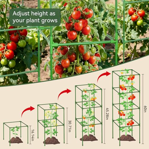 2 Pack 60" Tomato Cages for Garden (60 inch)