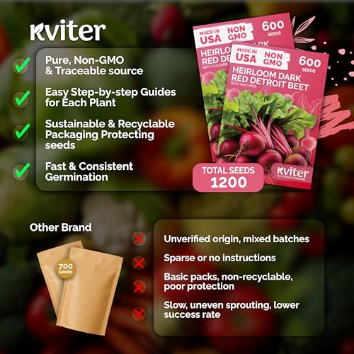 1 200 Detroit Dark Red Beet Heirloom Vegetable Seeds