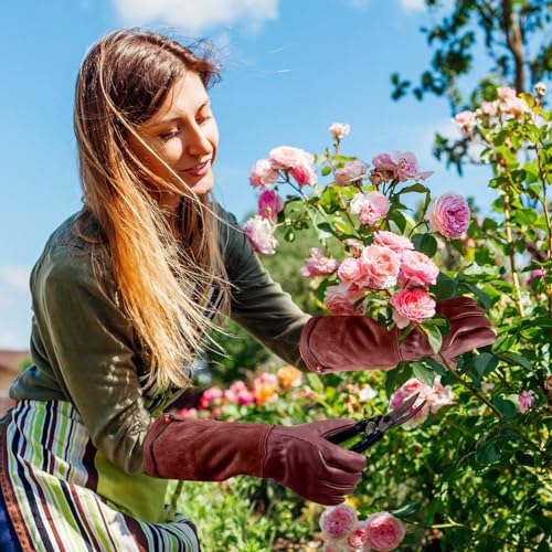 Gardening Gloves for Women Men (Brown / X-Small (Pack of 1))