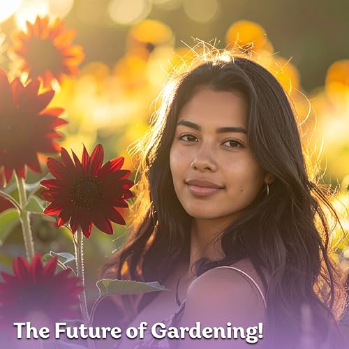 150 Chocolate Cherry Sunflower Heirloom Flower Seeds