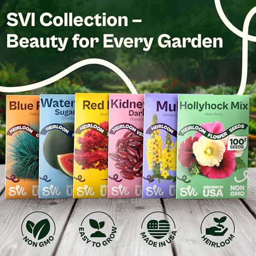 3000 Mix Crazy for Cosmos Seeds