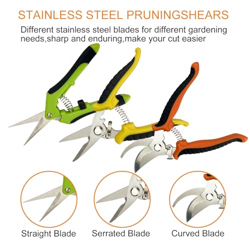 Pruning Shears