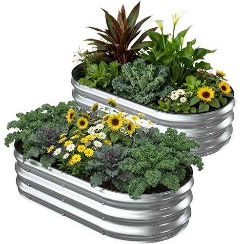 2 Pack 4x2x1FT Galvanized Raised Garden Beds (Silver / 4x2x1ft (2 Pack))