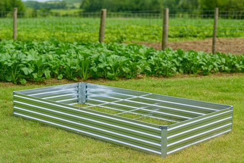 2 Pack 6x3x1FT Galvanized Raised Garden Beds Kit Outdoor Metal Gardening Planter Box for Vegetable Elevated Flower Herbs (Silver(2 Pack) / 6x3x1FT)