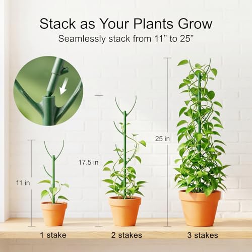 20 Pack Monstera Plant Support Stakes