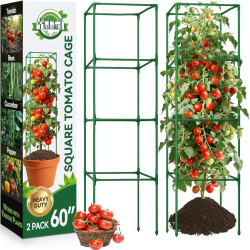 2 Pack 60" Tomato Cages for Garden (60 inch)