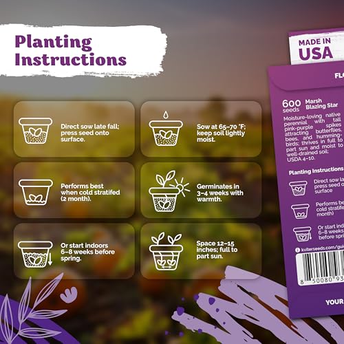 1 200 Marsh Blazing Star Heirloom Flower Seeds