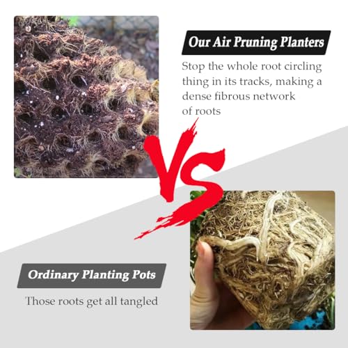 Air Pruning Planters 5 Gallon 6 (5 Gallon-6P)