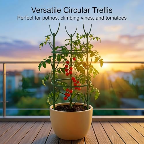 20 Pack Monstera Plant Support Stakes